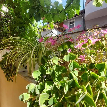 Tirana Hospitality Edas Place Kwatera prywatna Tirana
