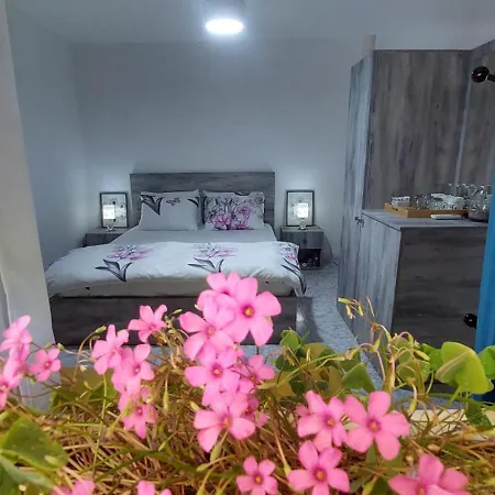 Séjour chez l'habitant Hospitality Edas Place Tirana